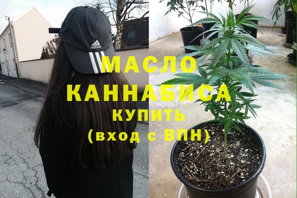 гашик Заводоуковск