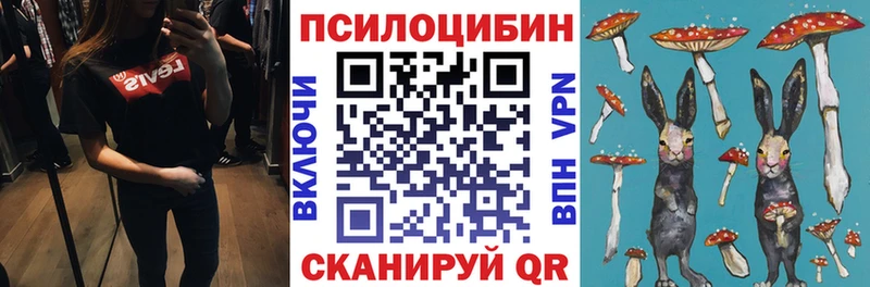 Купить где  Тулун  Псилоцибиновые грибы Magic Shrooms 
